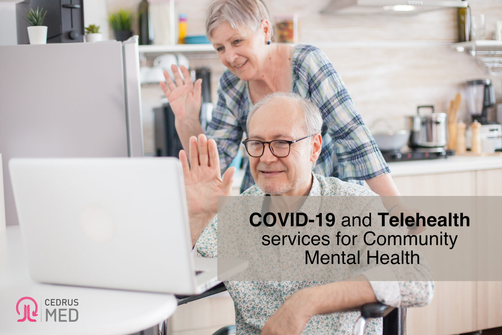 COVID-19 and Telehealth services for Community Mental Health
