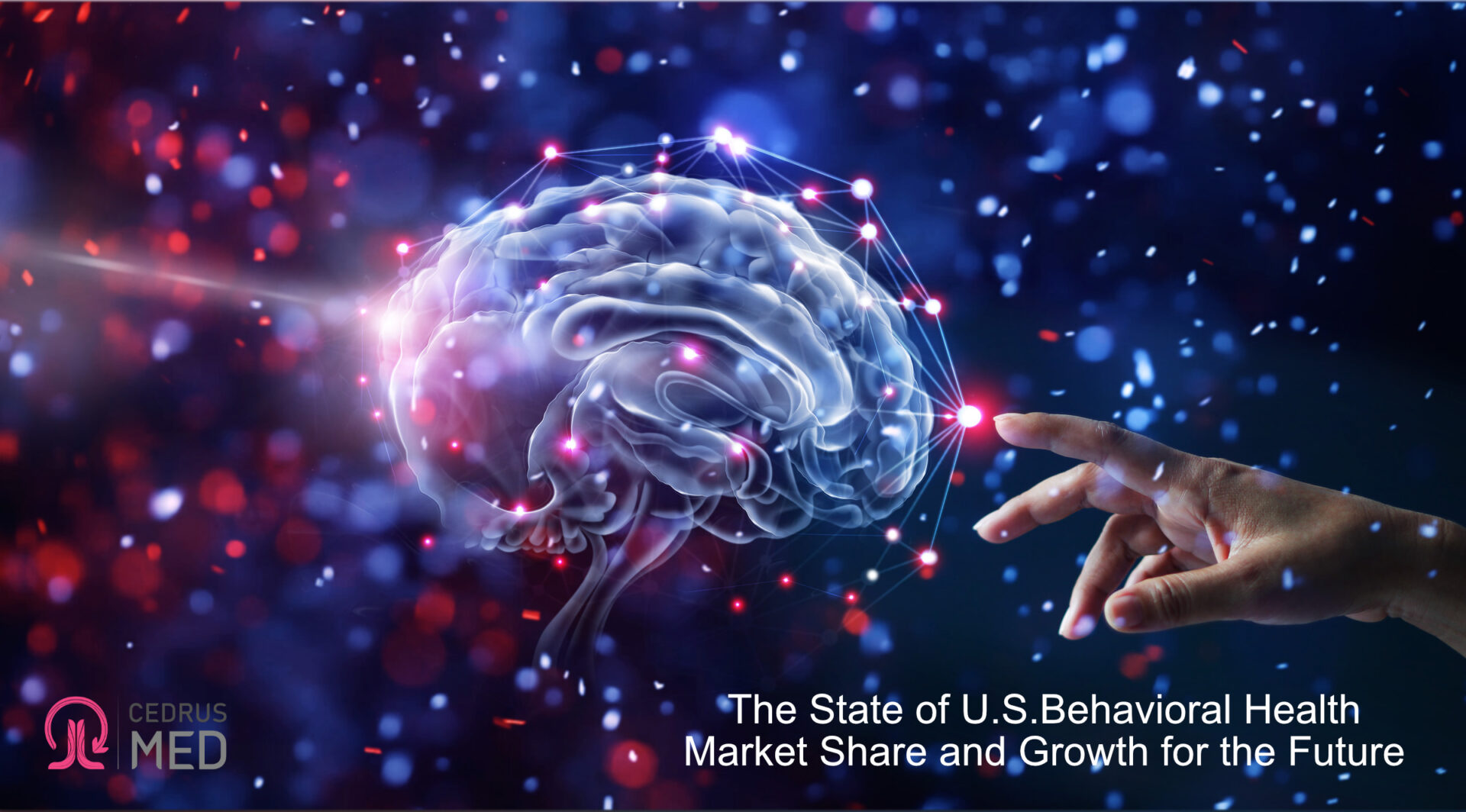The State of U.S. Behavioral Health Market Share and Growth for the Future