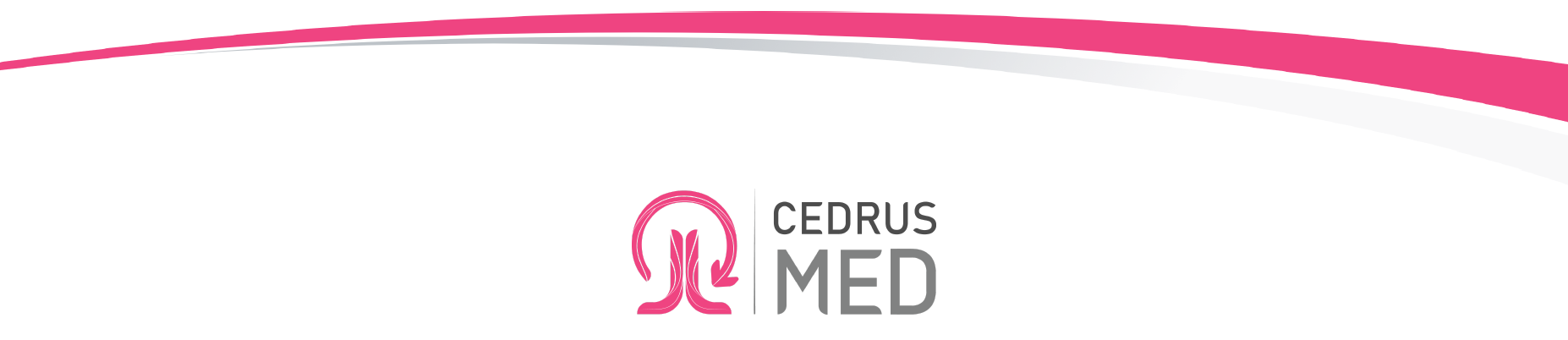 Year-End Letter from the Founders of CedrusMed